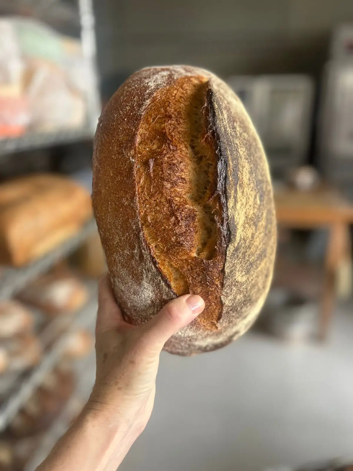 Pan de mantequilla y brioche artesanal de Pan de Elia