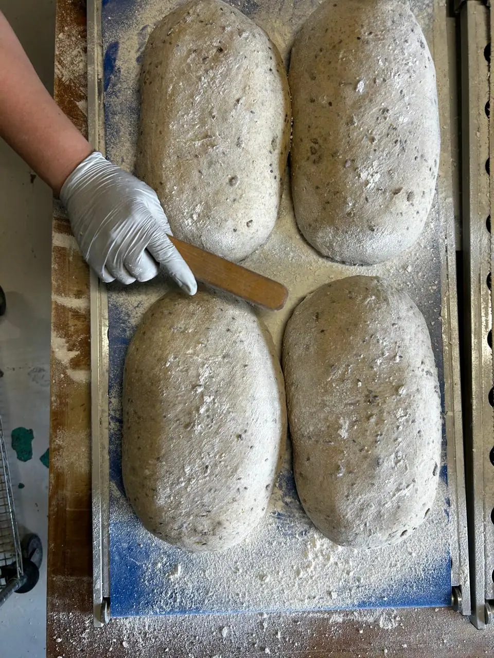 Masa madre fermentada lista para hornear, marcada a mano antes de entrar al horno