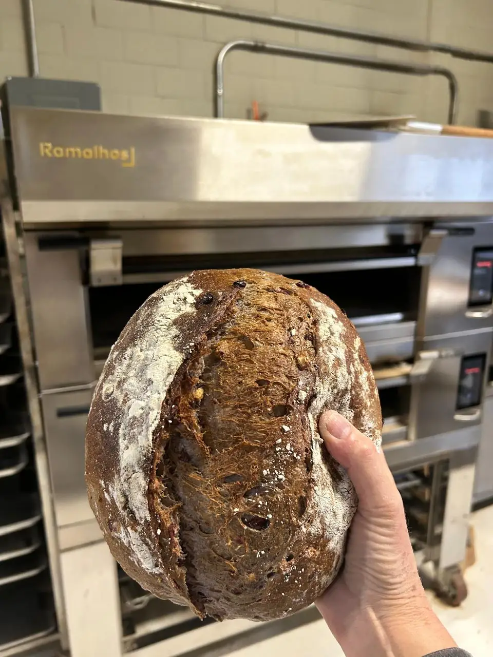 Hogaza de pan de masa madre recién salida del horno, con la corteza dorada y crujiente